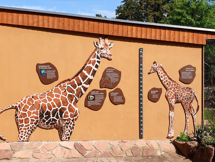 ausstellung_zoo-magdeburg-giraffe_00